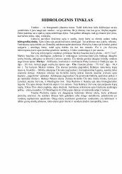 www.speros.lt
